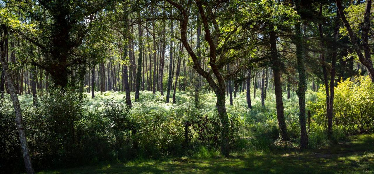 Camping L'Etang D'Ardy *** Saint-Paul-les-Dax Exterior photo